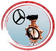Ni-Al Bronze Butterfly Valve
