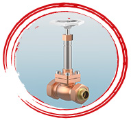 Ni-Al Bronze Cryogenic Globe Valve