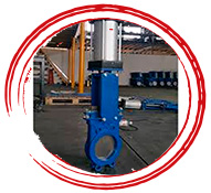 Pneumatic Gate Valves