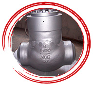 Pressure Seal Check Valve