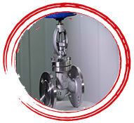 SA 351 Grade CF8C  Globe Valve