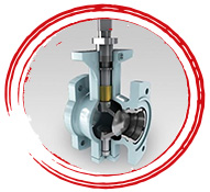 SA 351 Grade CF8C Plug valves