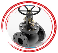 Screw Down Non Return Globe Valve