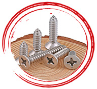 Self Tapping Screw