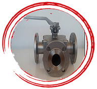 SS 3 Way Ball Valve