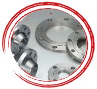 SS 317 Slip On Flanges