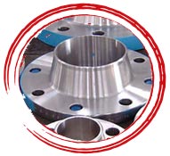 SS 317 Weld Neck Flange