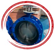 SS 904L Wafer Type Butterfly Valve