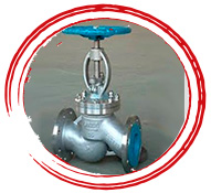 SS Globe Valve