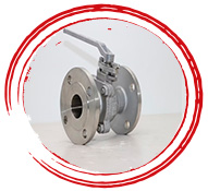 SS PTFE Lined Valve