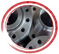 SS UNS S31700 Pipe Flange