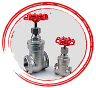Stainless Steel 304 Valves