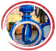 Stainless Steel 904L Flanged Butterfly Valve
