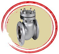 Stainless Steel Forged valve