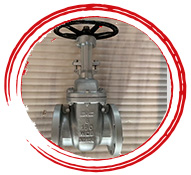 Stainless Steel Gate Valve