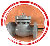Steel A351 CF8m Lift Check Valve