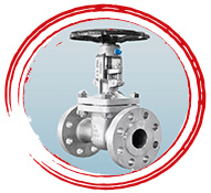 Super Duplex UNS S32750 Gate Valve