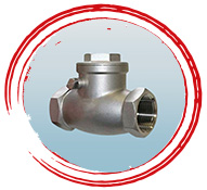 Super Duplex UNS S32760 Swing Check Valve
