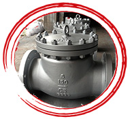 Swing Check Valve