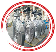 Titanium Butterfly Valve