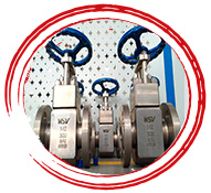Titanium Gate Valve