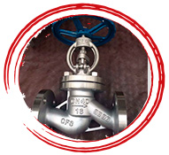 Titanium Globe Valve