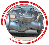  UNS J03002 Lift Check Valve