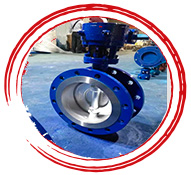 UNS J12072 Butterfly Valves