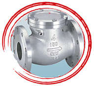UNS J92710 Check Valve