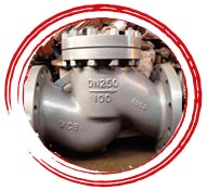   UNS N06022 Swing Check Valve