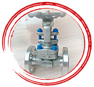 UNS N08825 Gate Valves