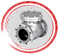 UNS S31254 Check Valve