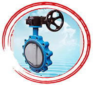 Wafer Type Butterfly Valve