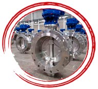 WERKSTOFF NR. 2.4856 Double Flanged Butterfly Valve