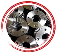 WNR 1.4462 Plate Flange