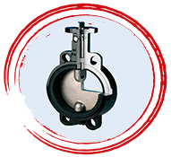 XOMOX Crane Saunders  Pneumatic Butterfly Valves