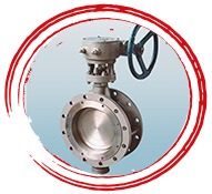 Zecor-Z Double Flanged Butterfly Valve